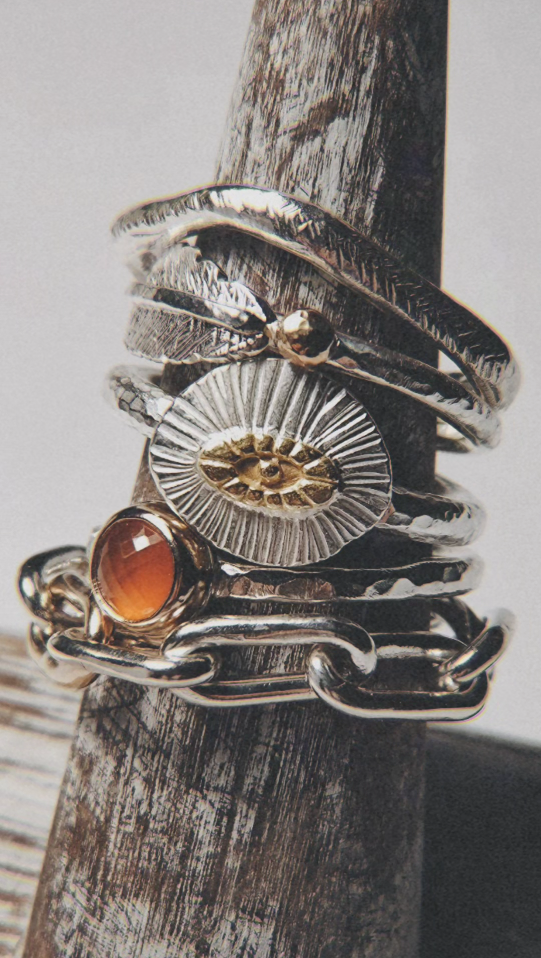 The Guardian Ring